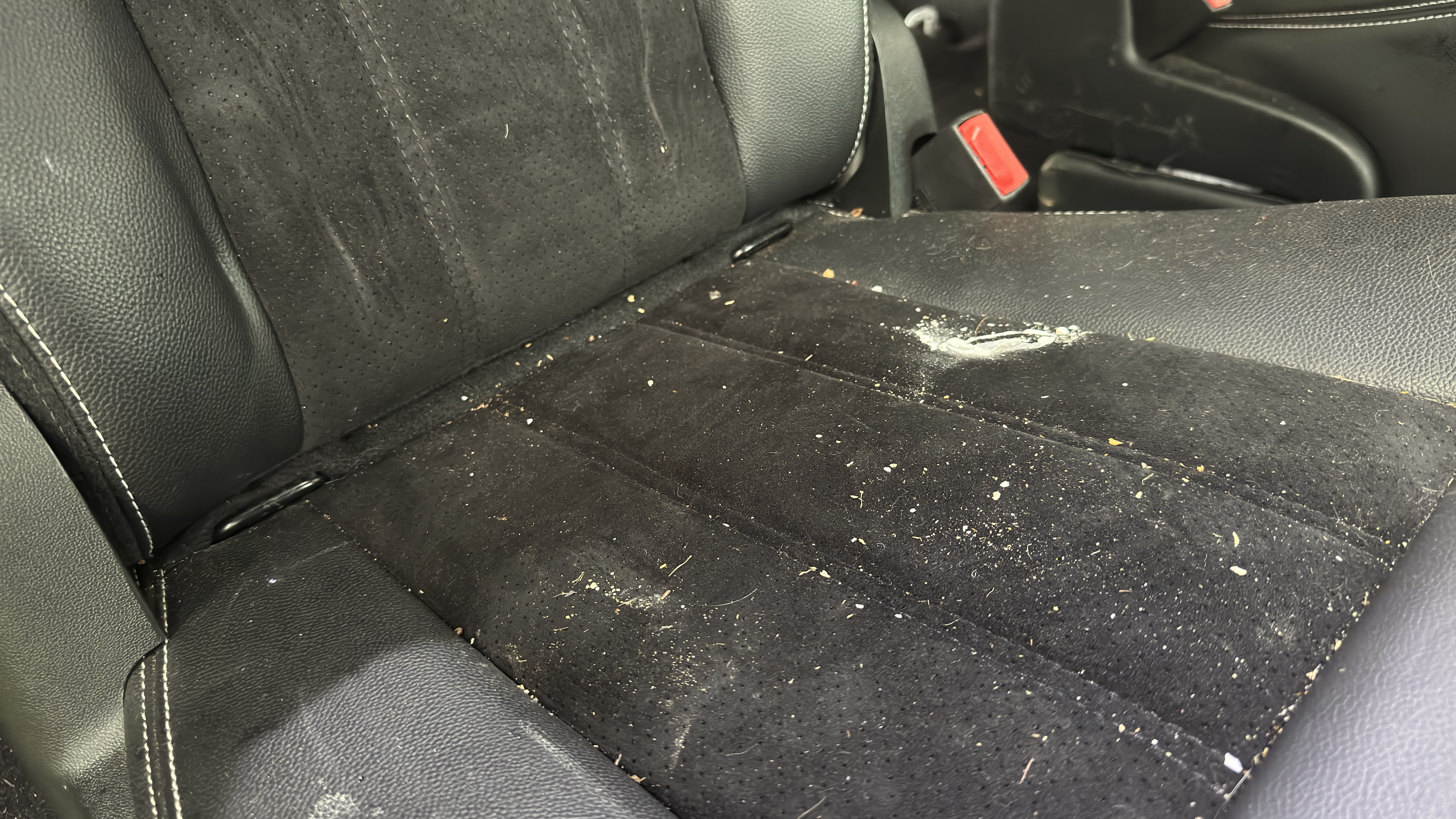 Before — seat fabric covered in crumbs and debris