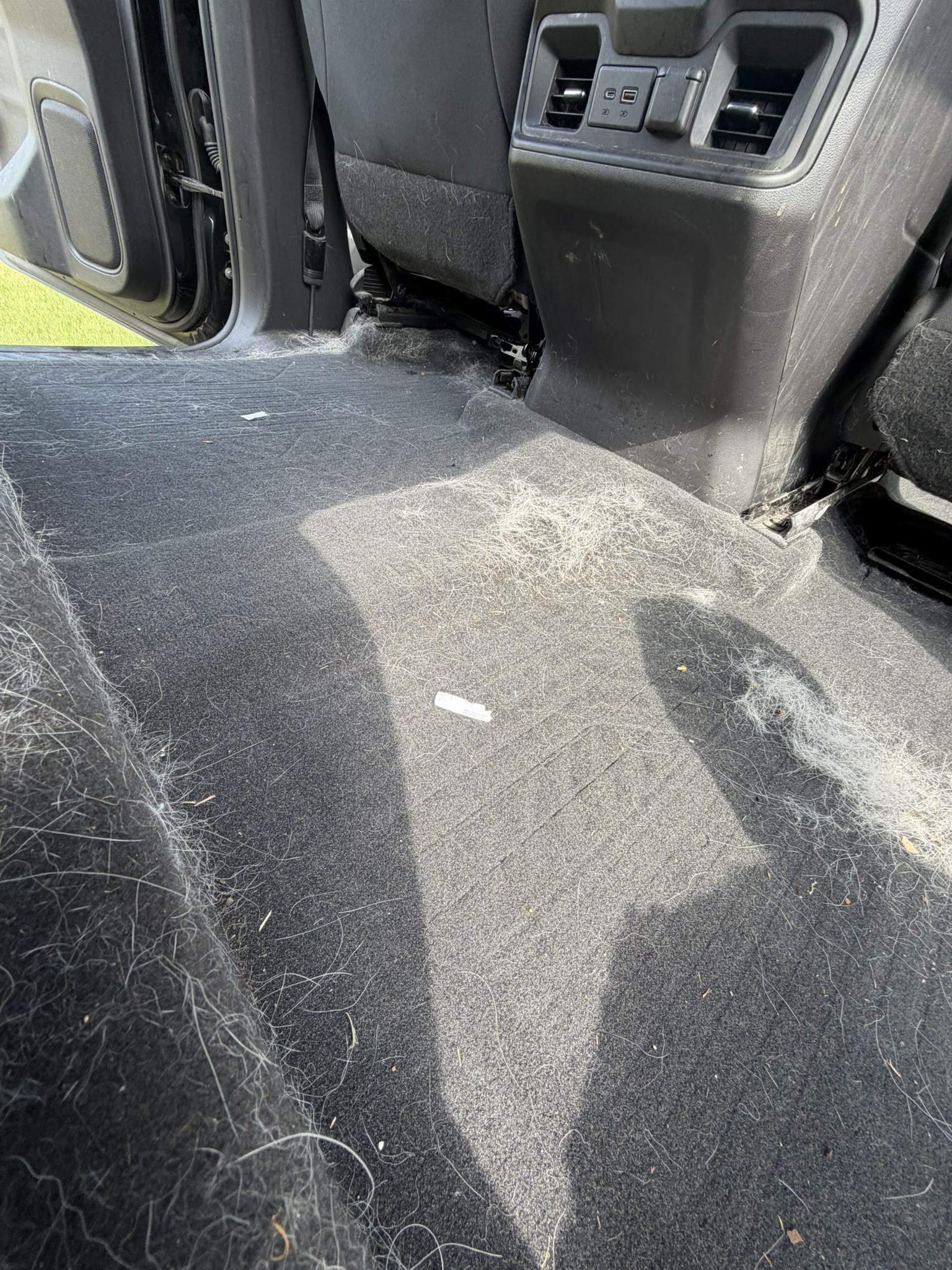 Before — Chevy Silverado rear bench covered in pet hair