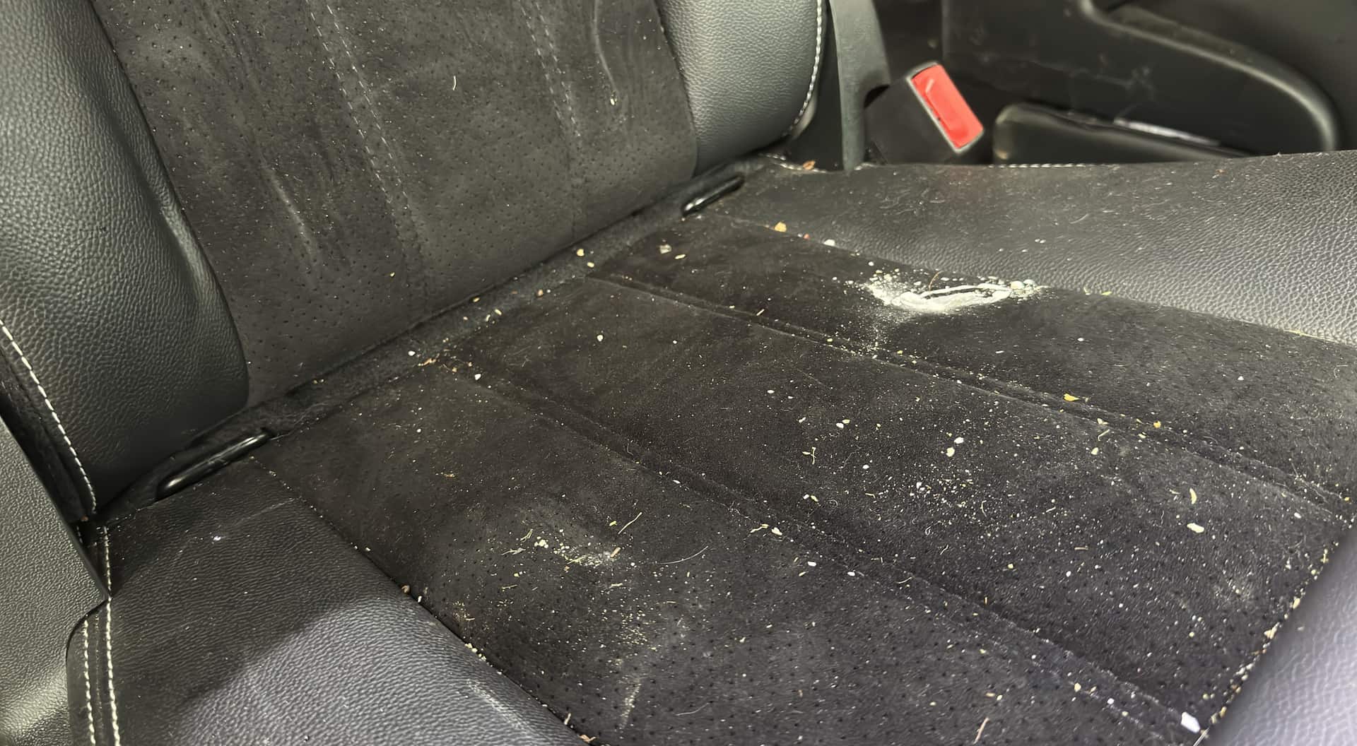Close-up of crumbs and dust on a minivan seat before cleaning