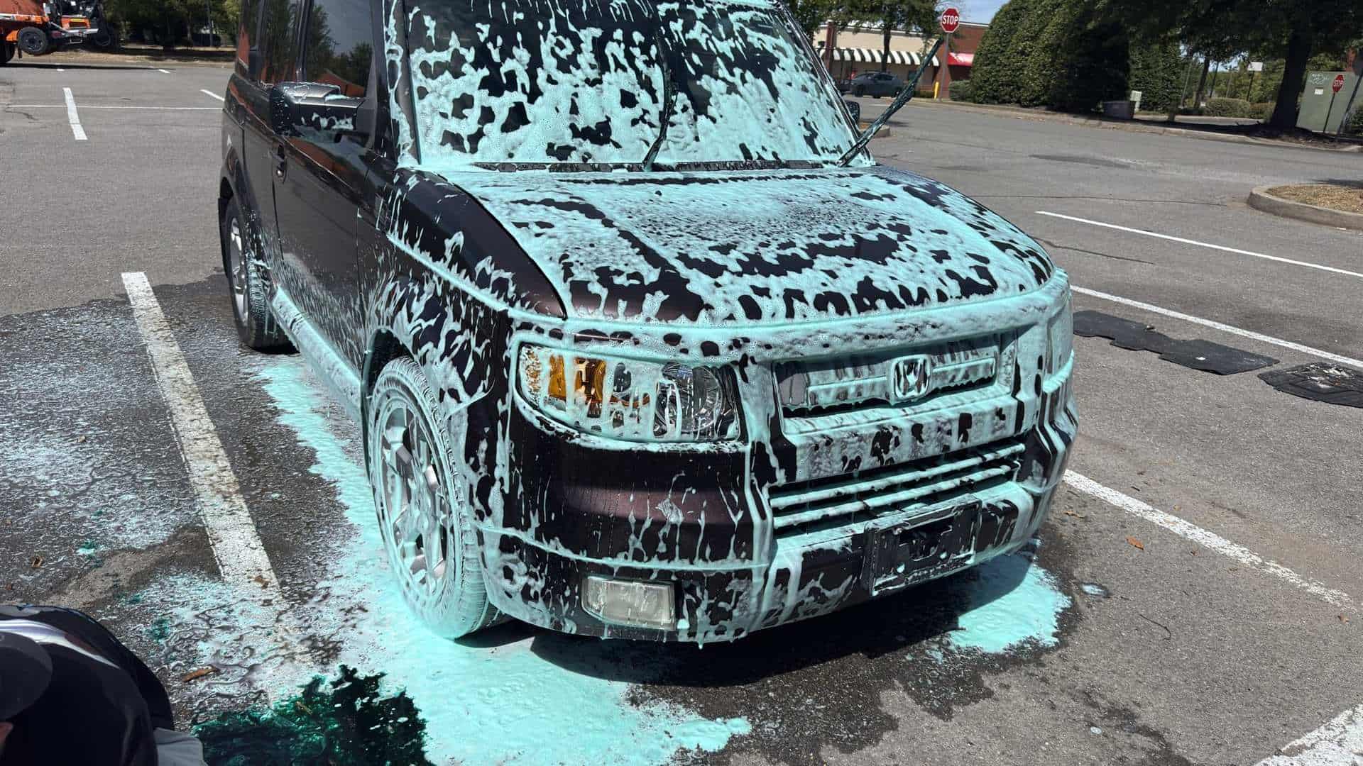 Black Honda Element covered in teal foam
